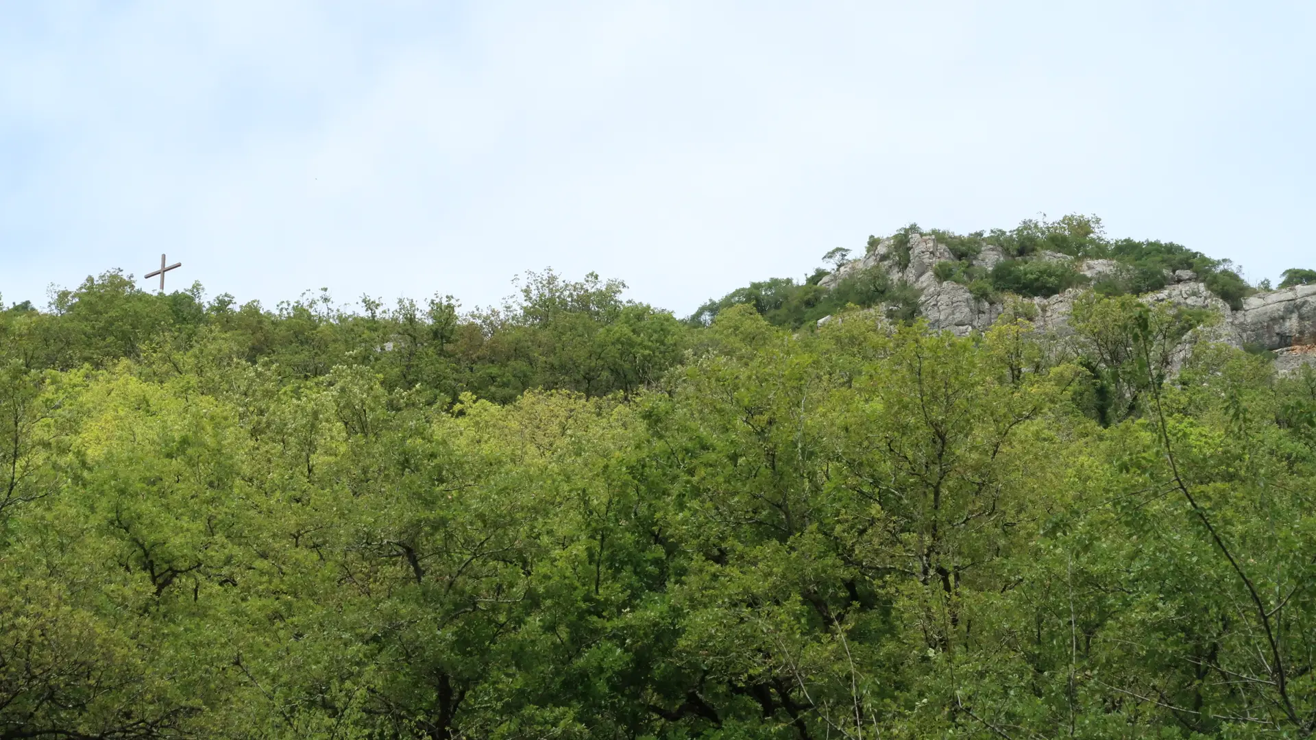 20250730140150_IMG_2687