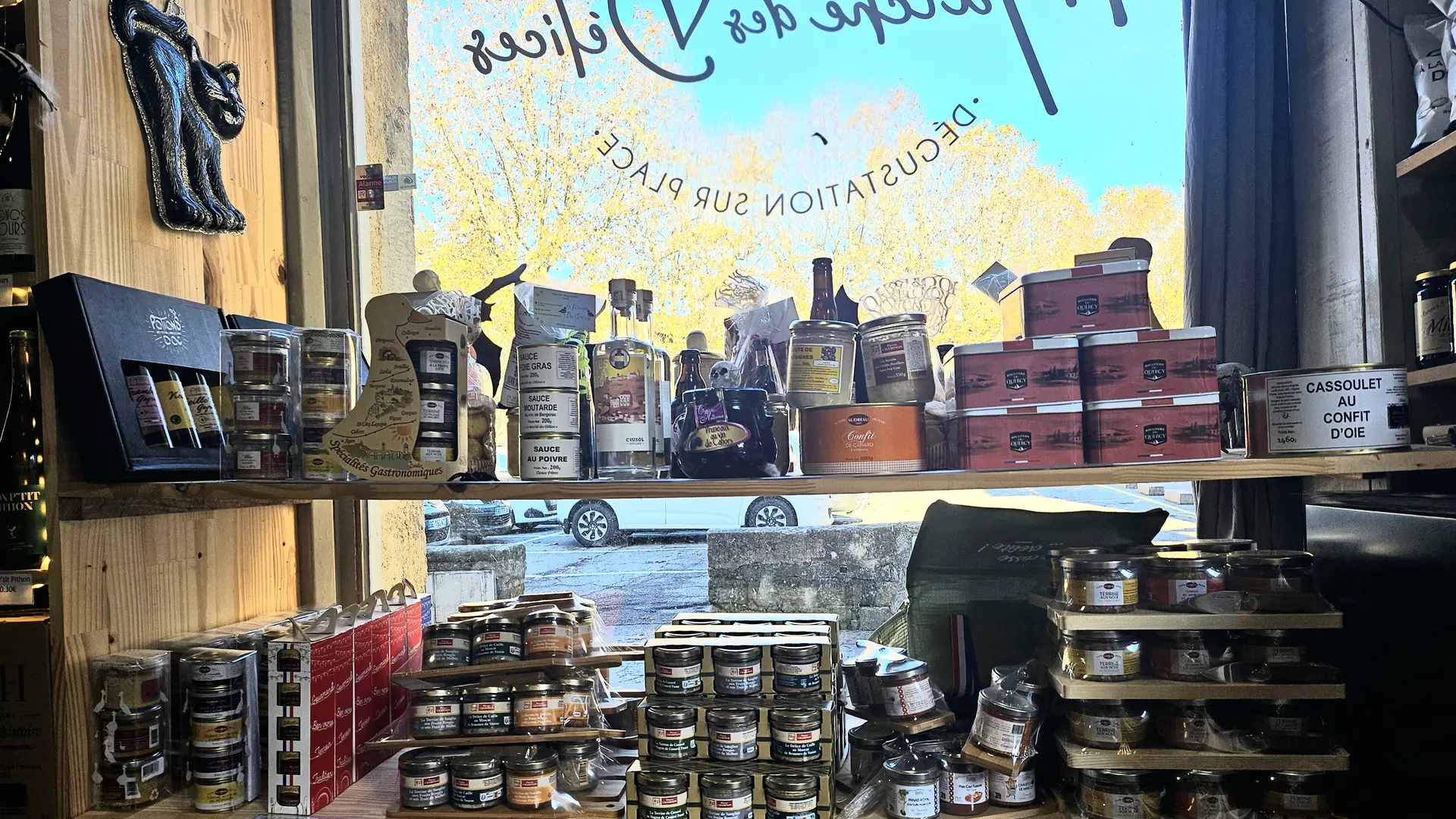 20251111_120937(1) (1)