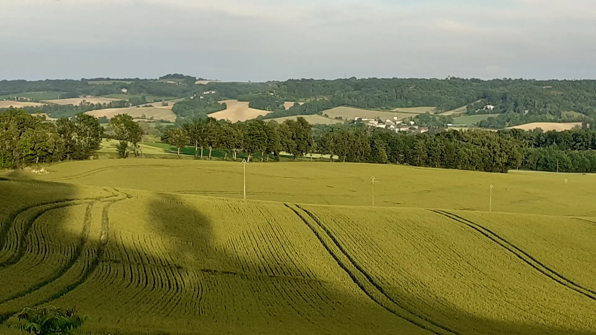 POINT DE VUE SUR VALLEE DU LENDOU