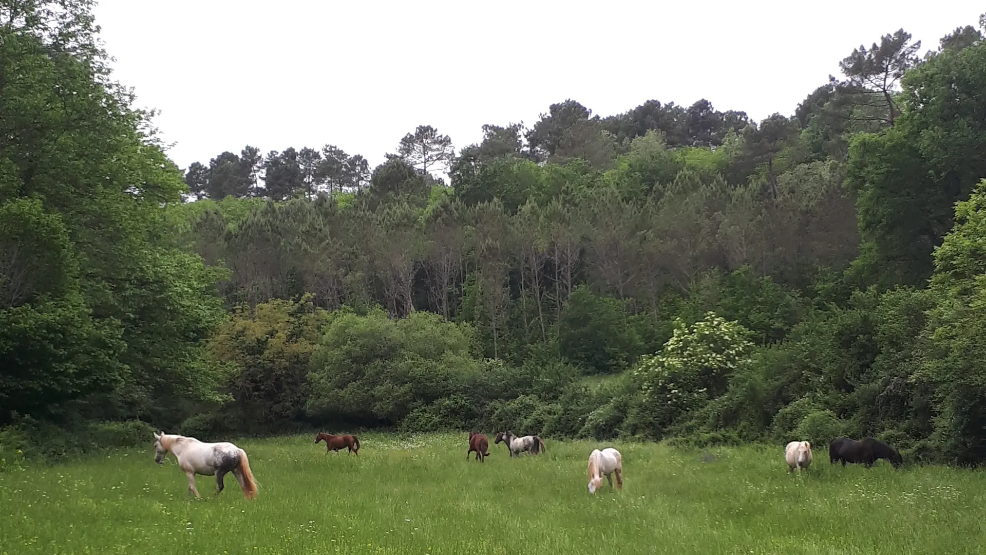 Dans la Bouriane