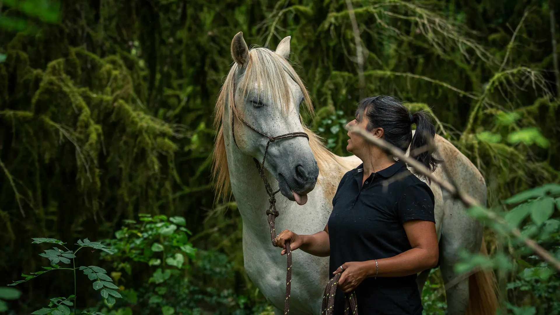 Complicité avec le cheval