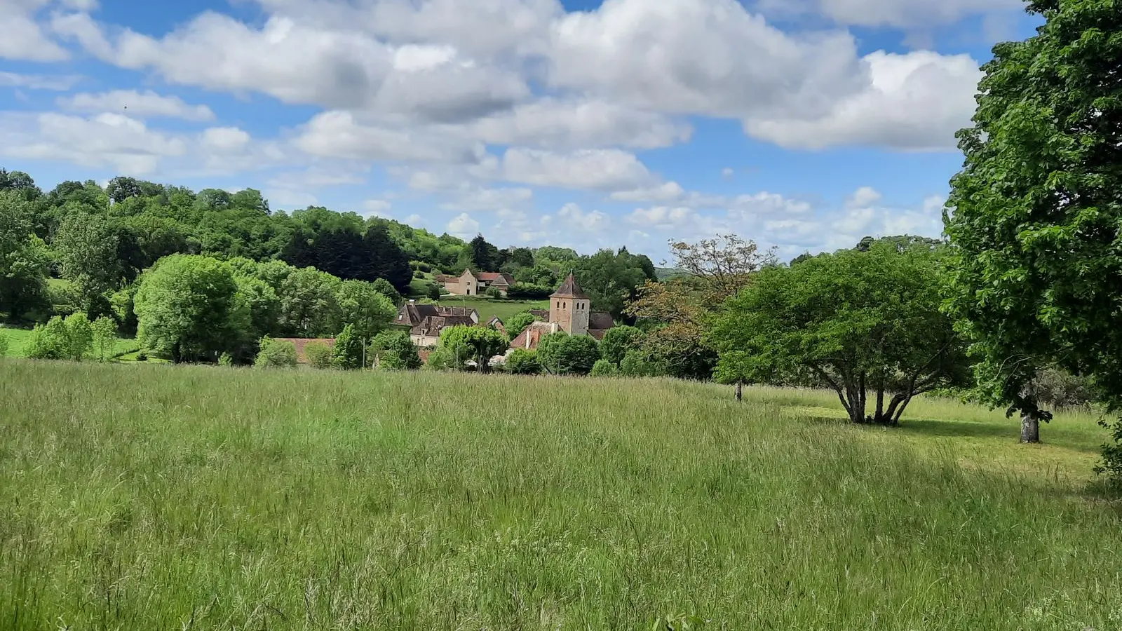 Vue du village et des gîtes de bel arbre