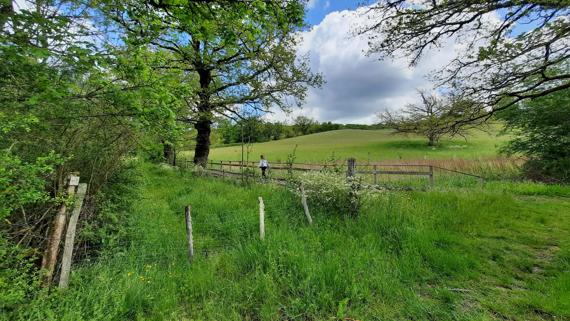 Sentier aménagé