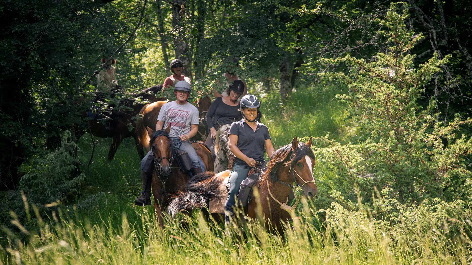 Randonner à cheval à travers les bois et prairies du Causse