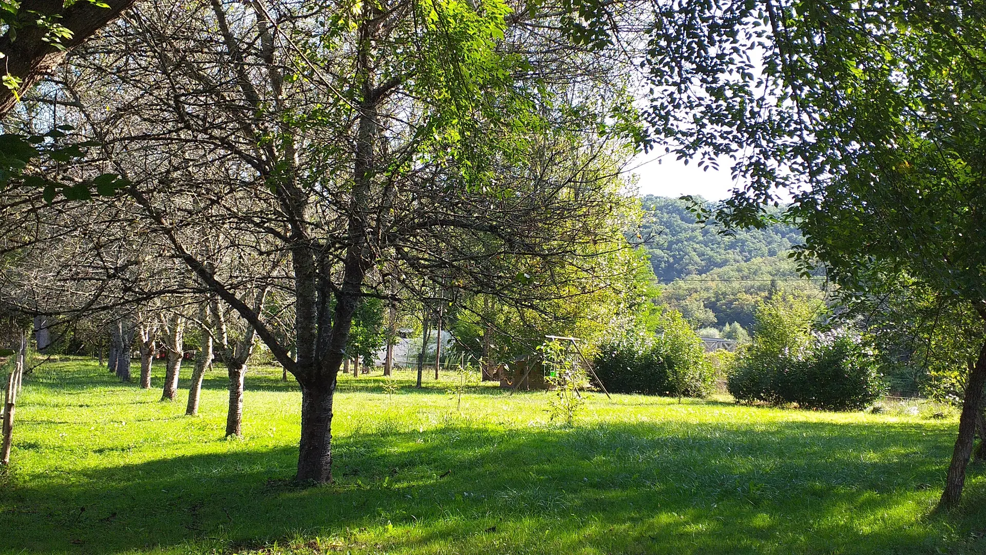 Une partie du parc