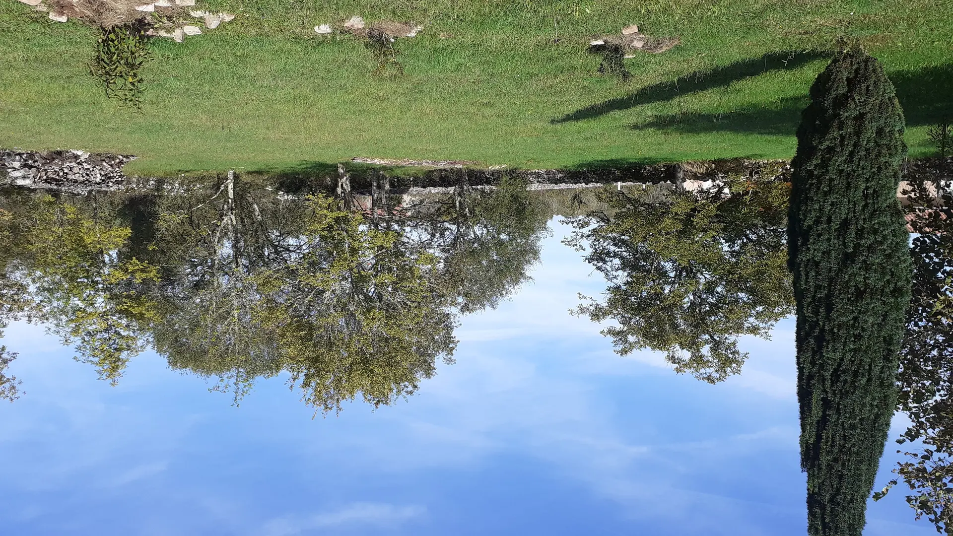 terrain