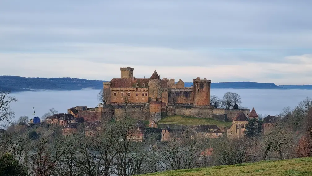 Chateau de Castelnau à 1 km du village de St Martin des Bois