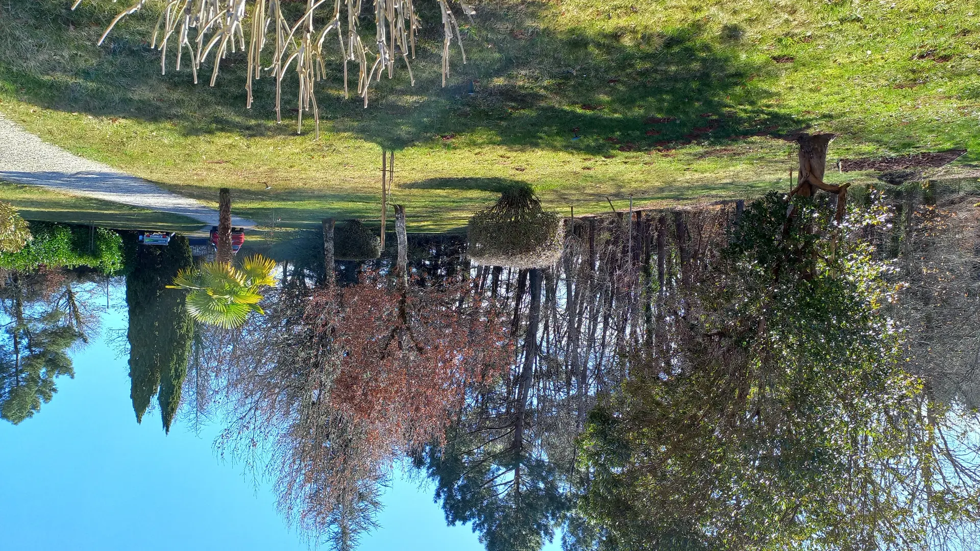 vue du parc