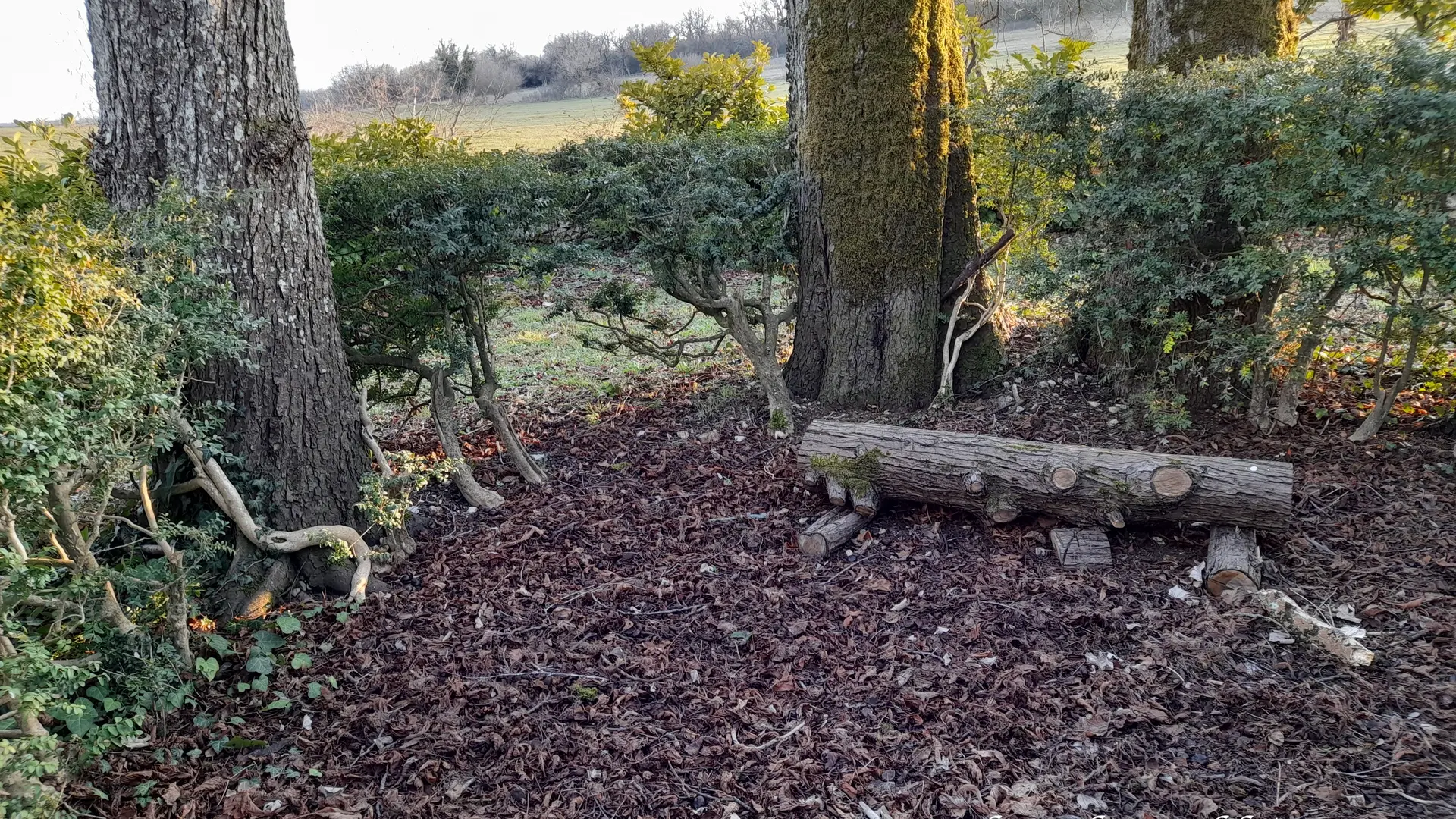 espace de la méditation