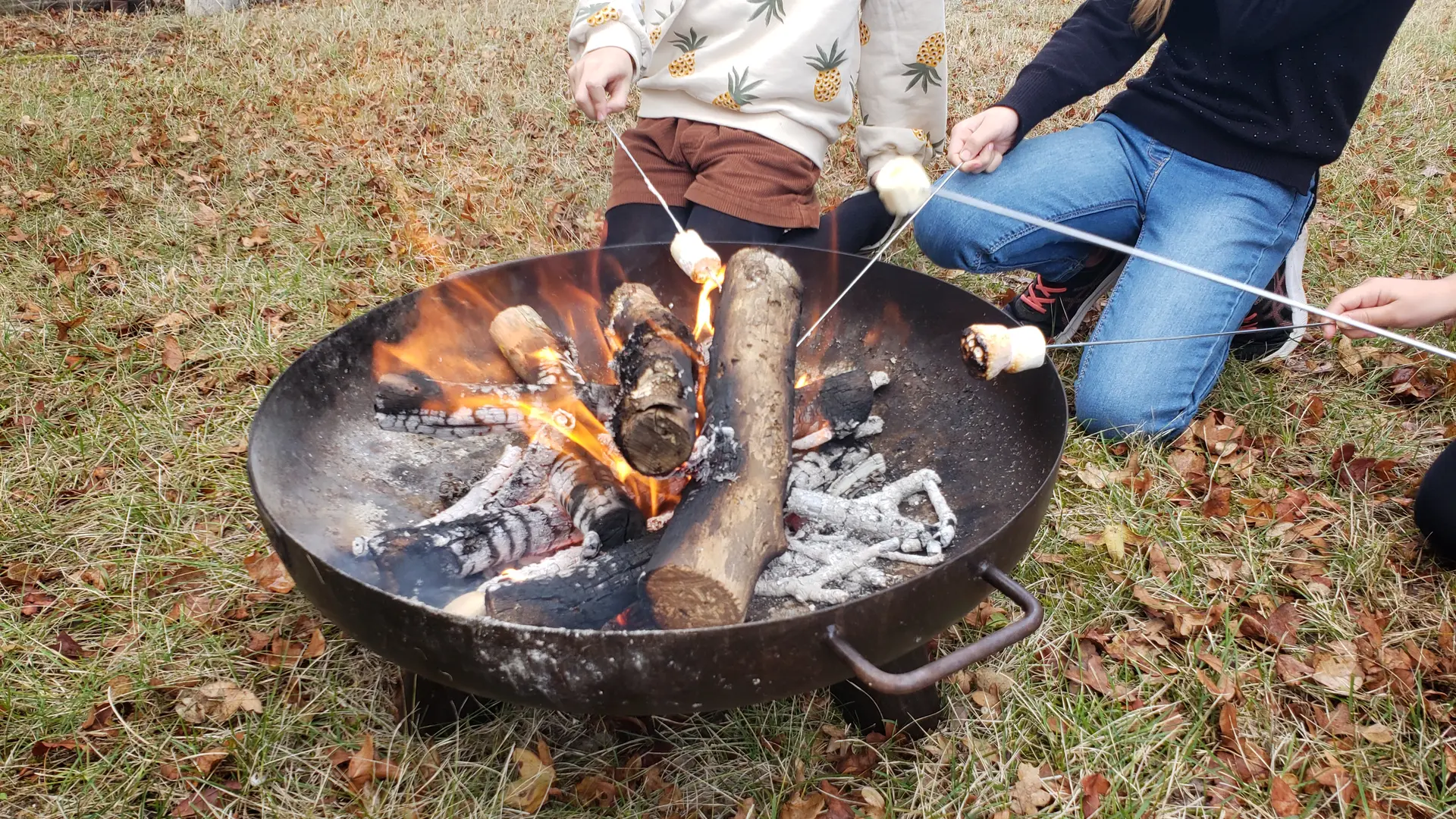 feu de camp et chamallows grillés