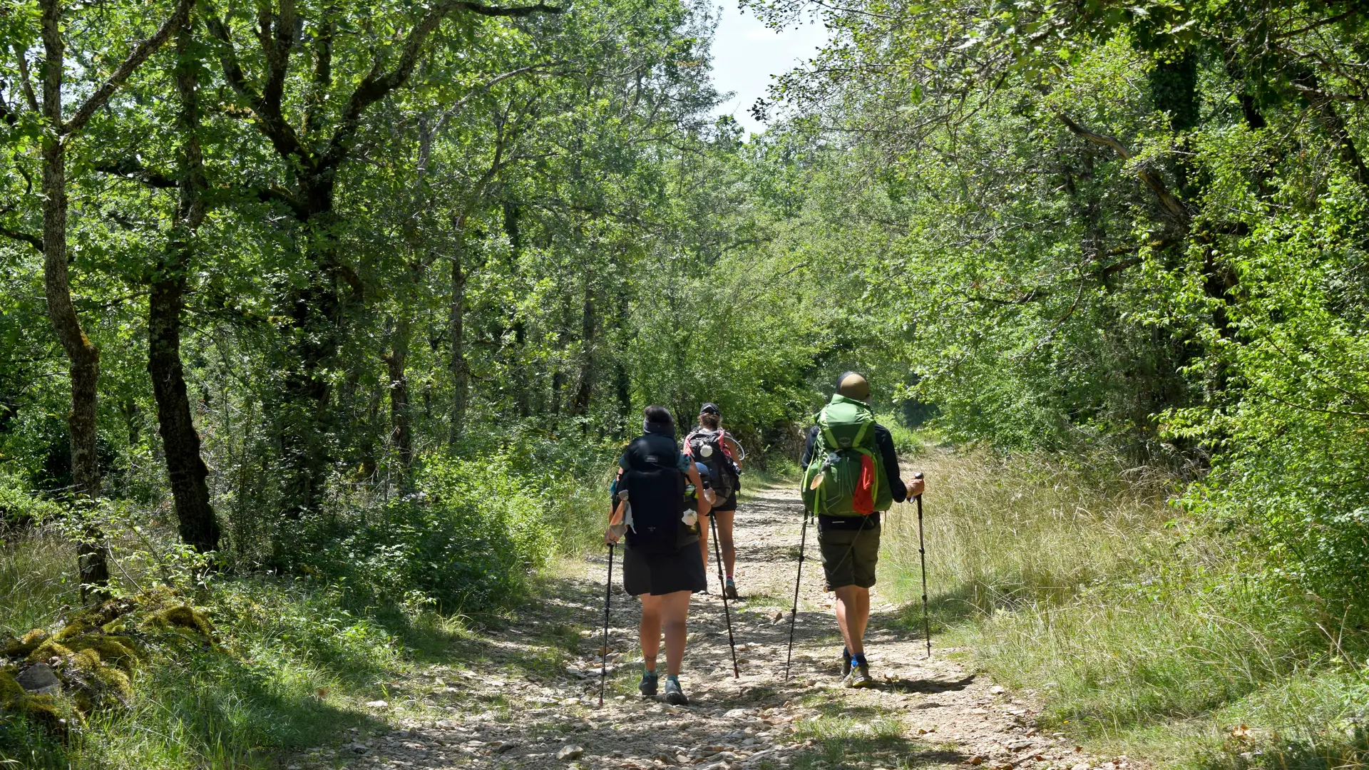 210719_Pèlerins sur le chemin à Limogne GR65
