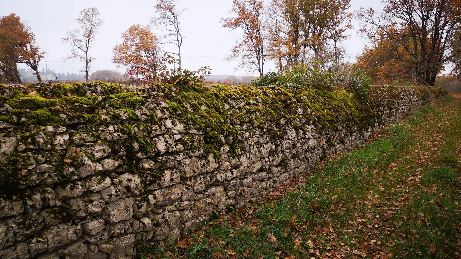 211126_Muret Lacapelle -