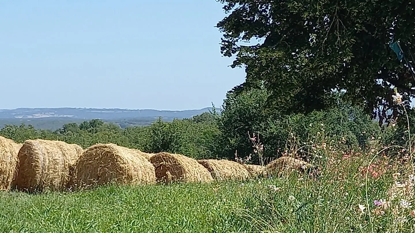 Gaec le bourg_mayrac_paysage