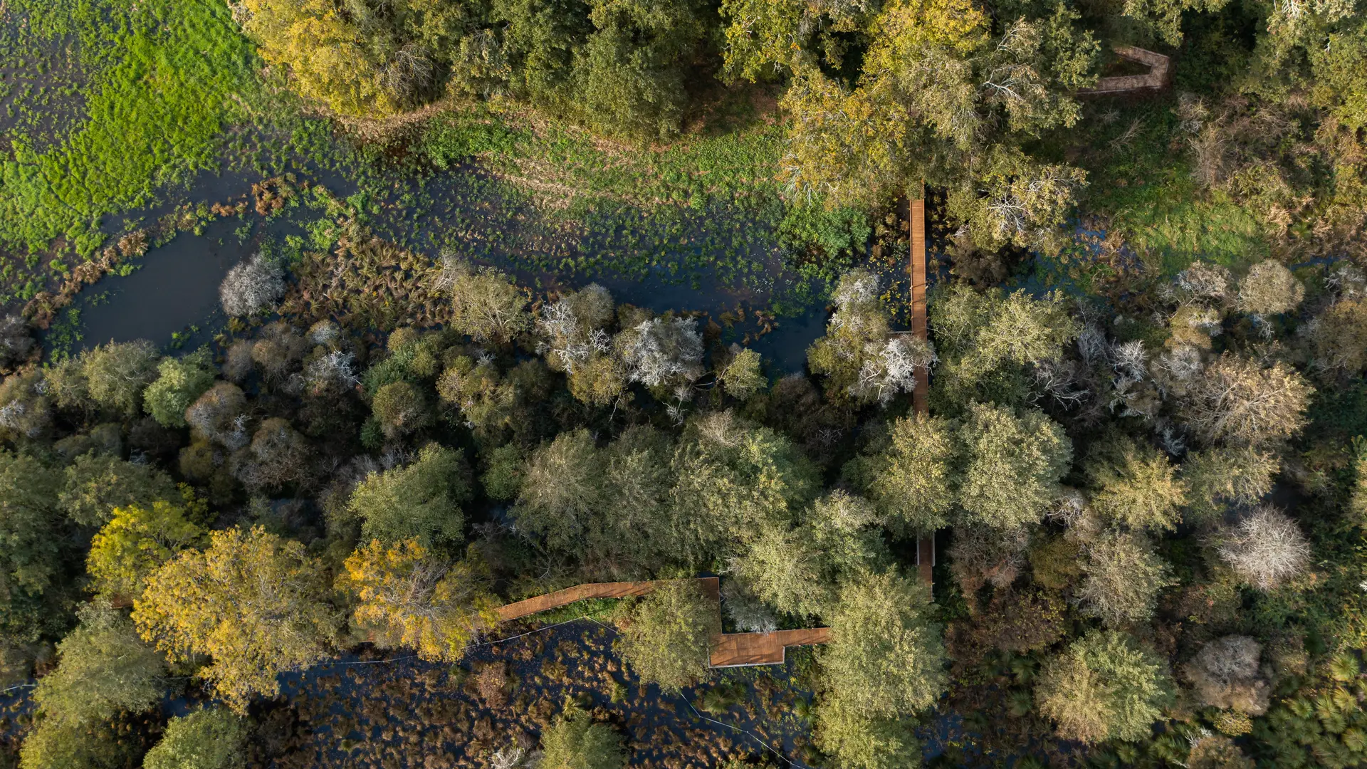 Vue drone des marais de la Masse