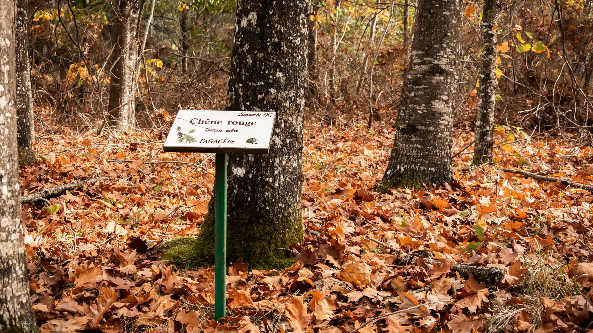 ENS des Landes du Frau