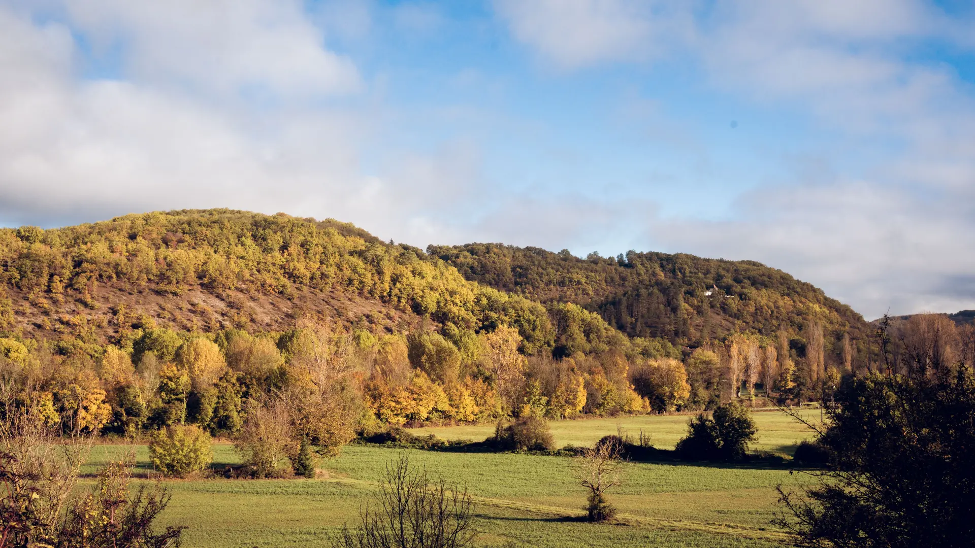 Balade dans les bois en automne