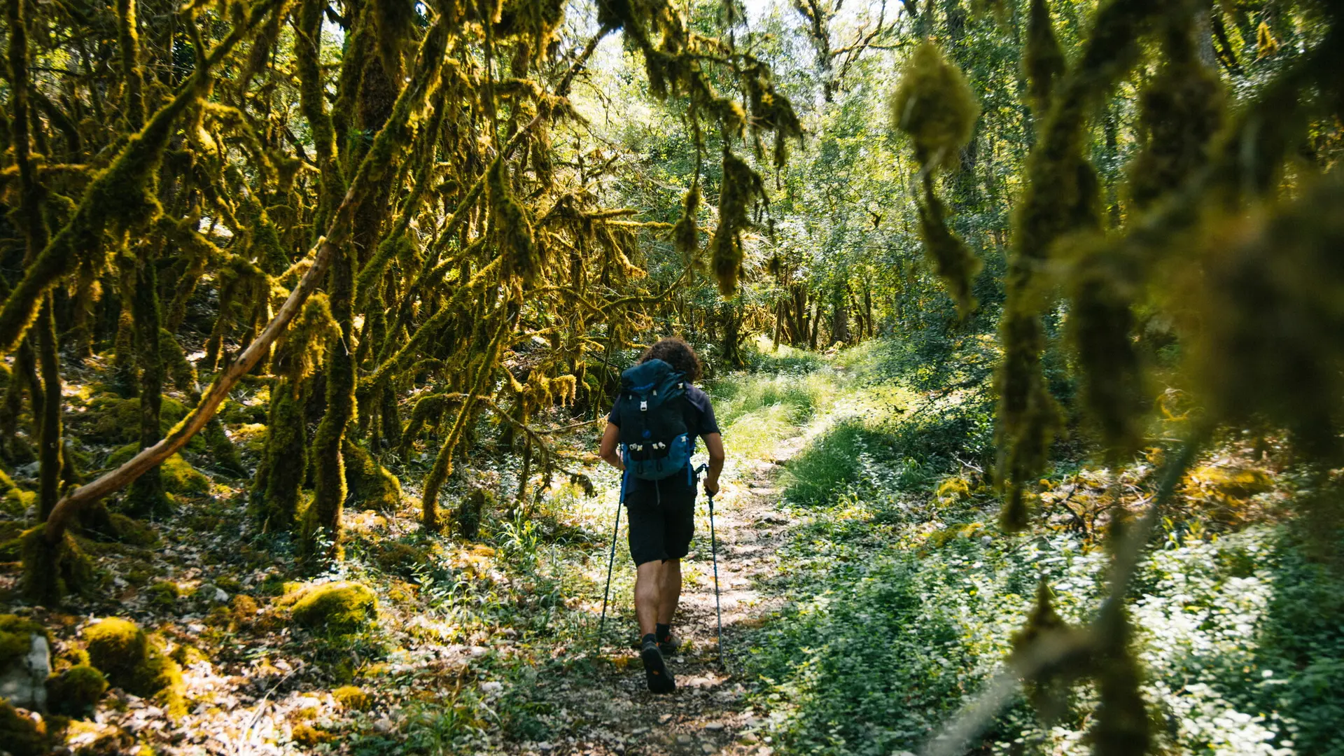 Sur la via Causs'Mos vers Sauliac sur Célé