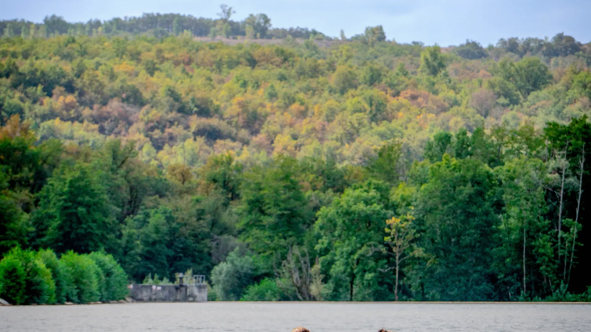 Lac de Catus