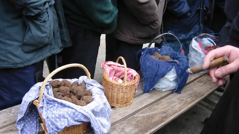 Lalbenque - Marché aux Truffes