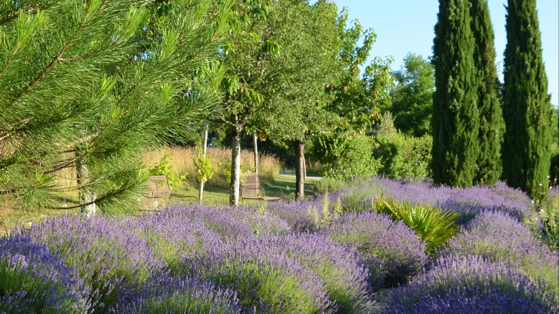 Gîte Durocher-St Denis les Martel-jardin