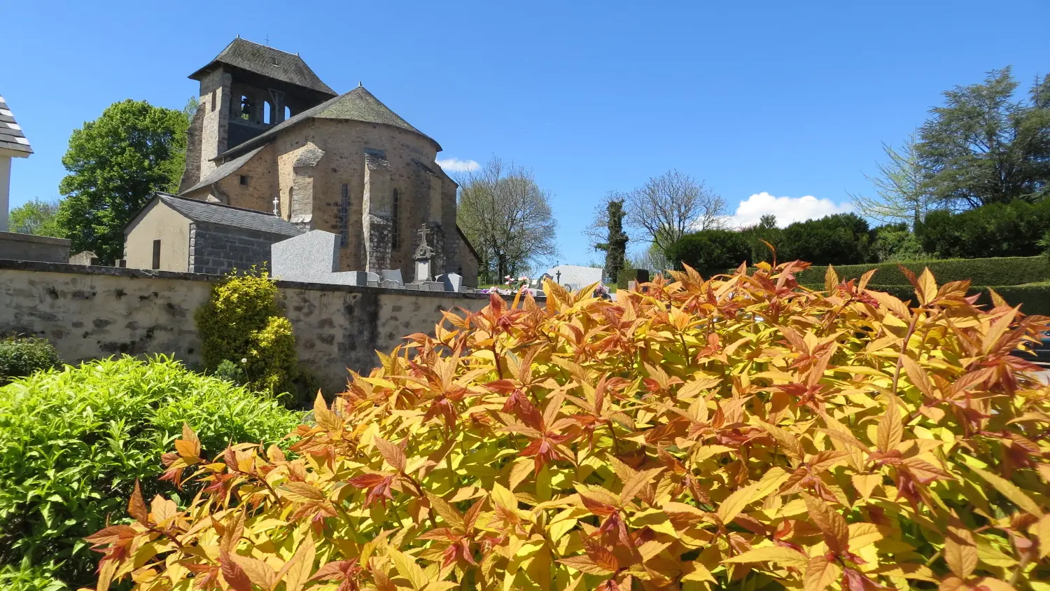 24 NEUVILLE - Le Puy Brezou (1)