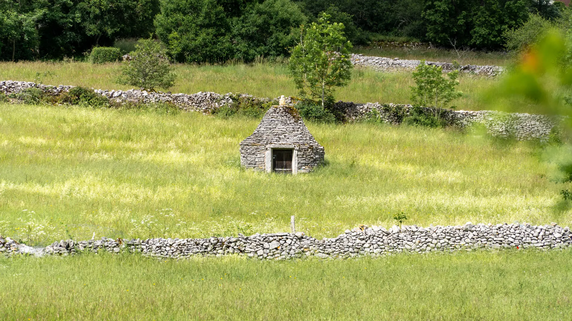 Caselle à Espédaillac