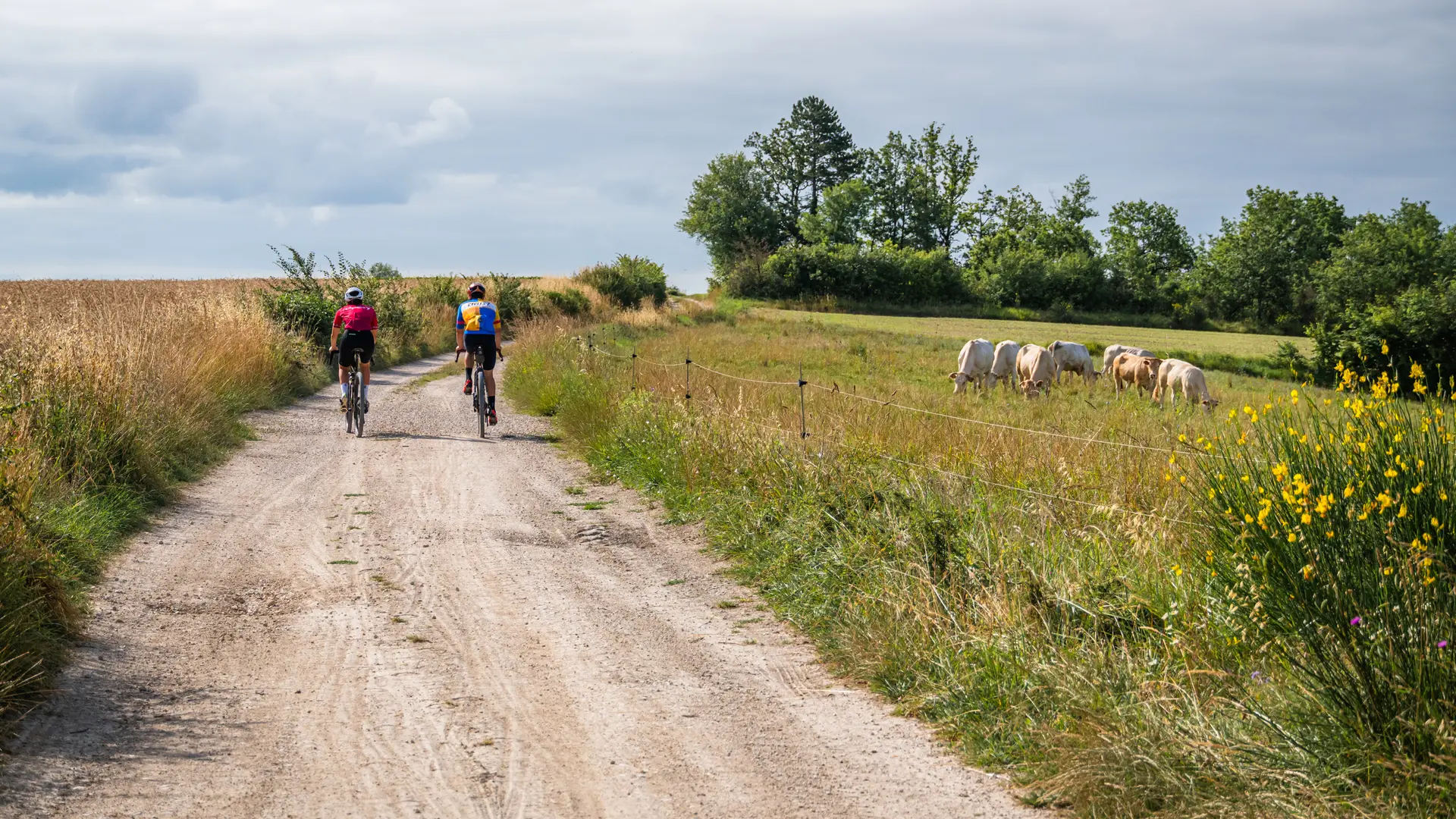 Vélo gravel à Lalbenque