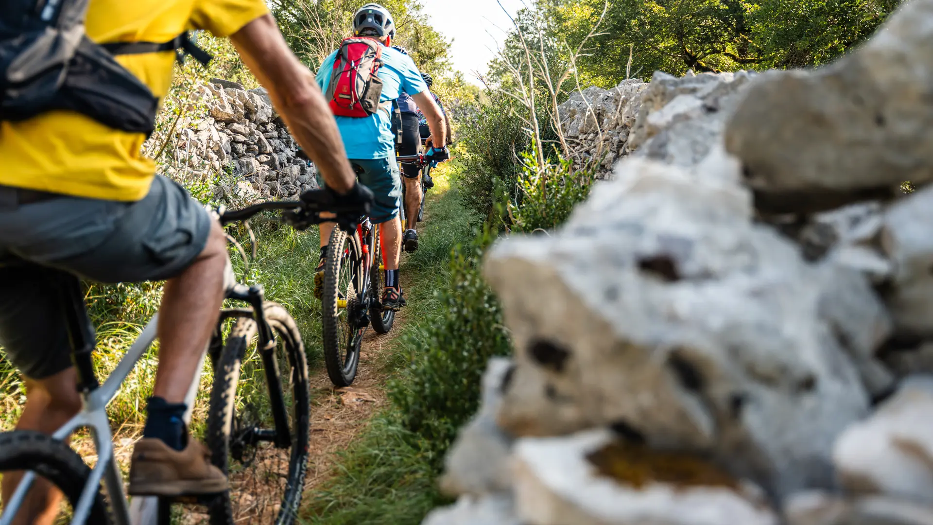 VTT dans la vallée du Célé
