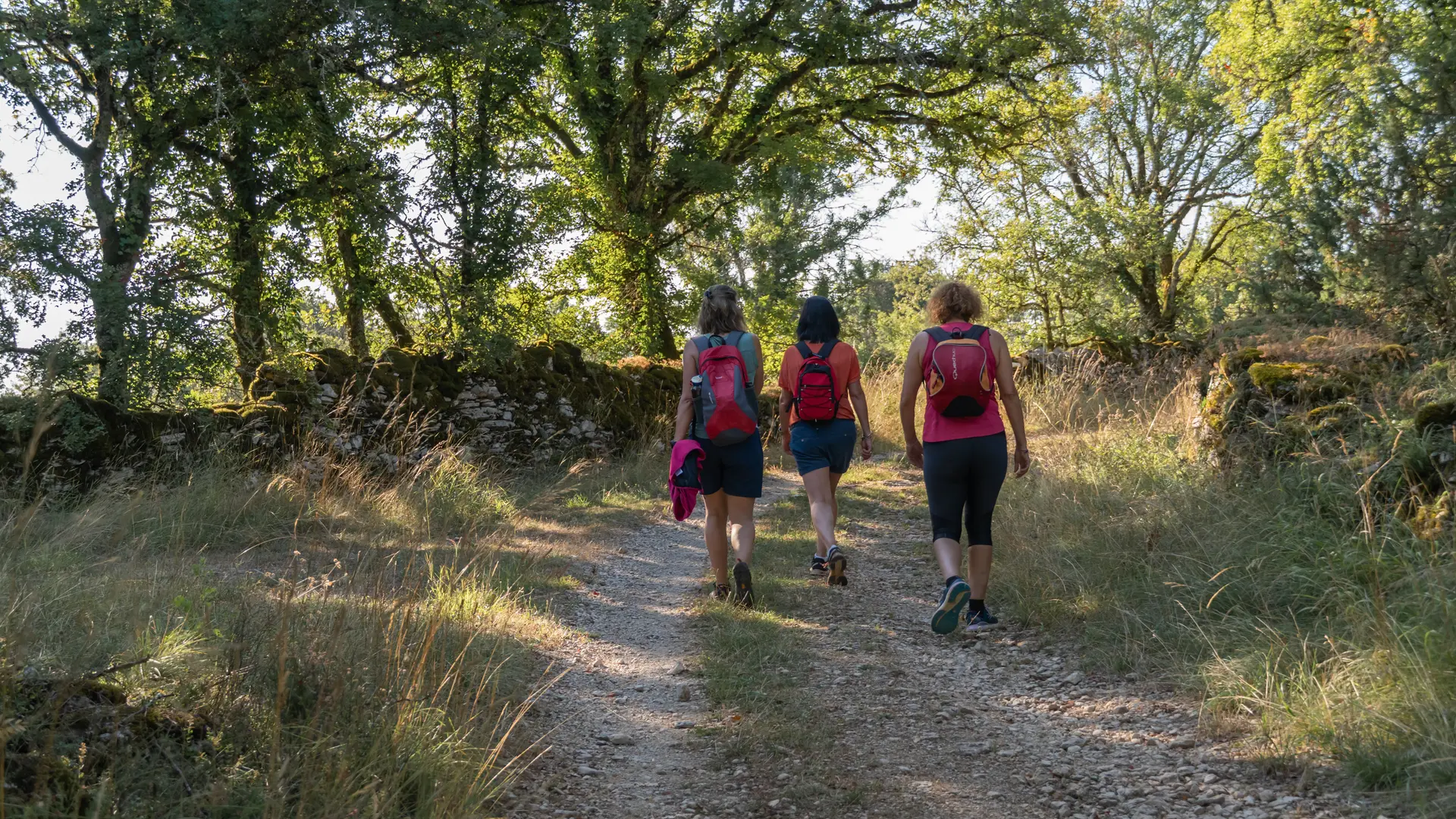 Randonnée du Rocher Pointu à Saint-Géry