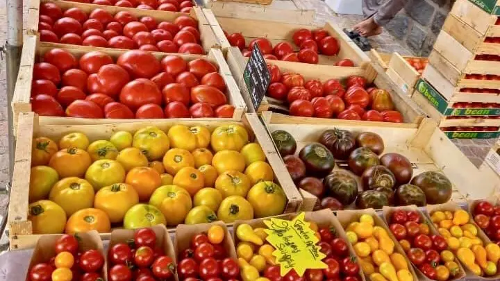 Ferme-de-Brossard_Lanteuil_tomatesMarche