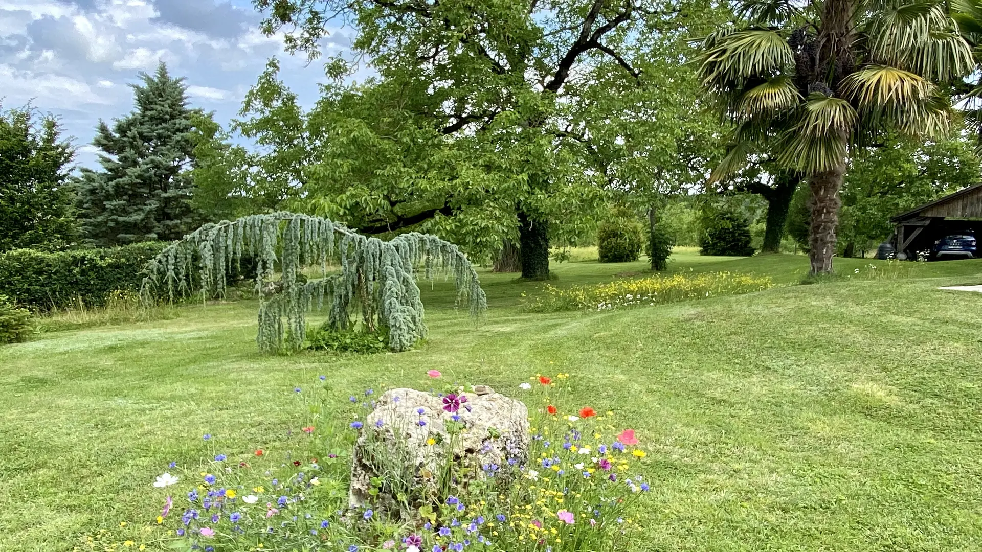 Vue sur le parc