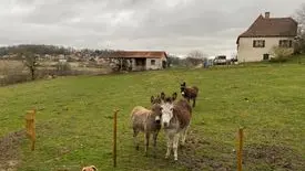 274998804_282123210725724_7924494524266601416_n