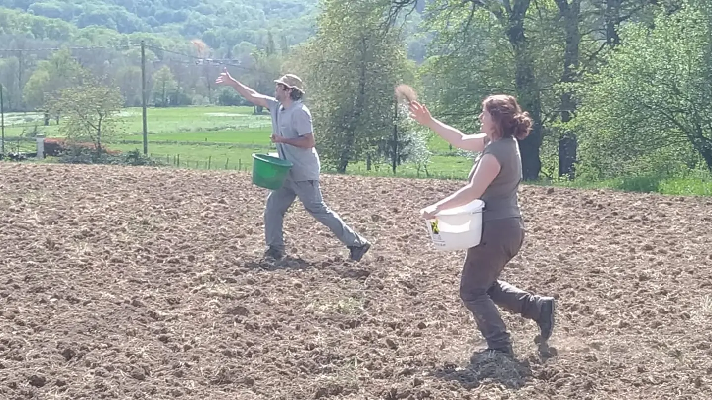 Gaec de l'autre chèvre-prudhomat-semis des céréales