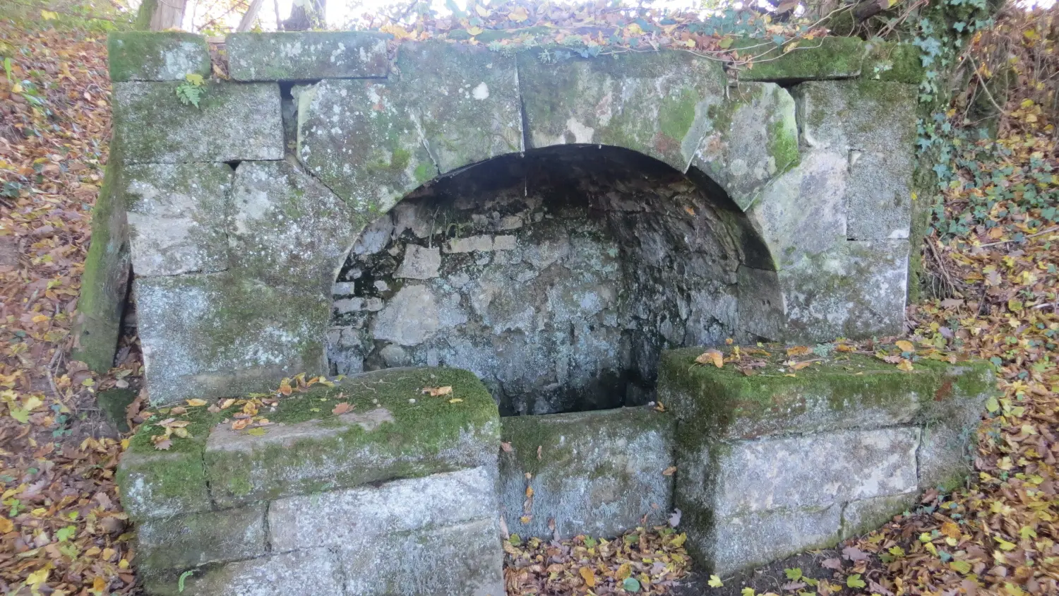 3 QUEYSSAC LES VIGNES - le vin paillé (4)