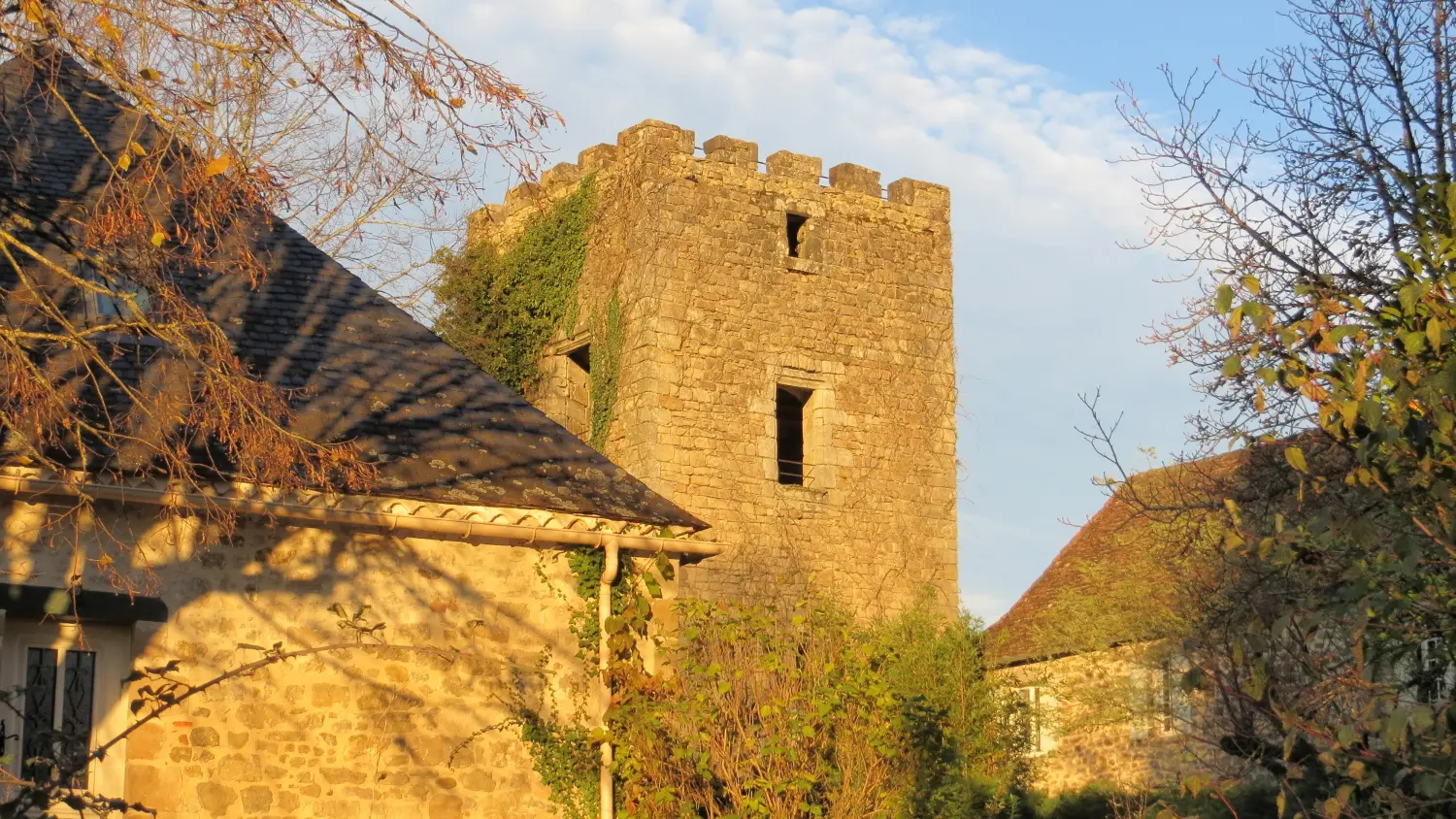 3 QUEYSSAC LES VIGNES - le vin paillé (6)