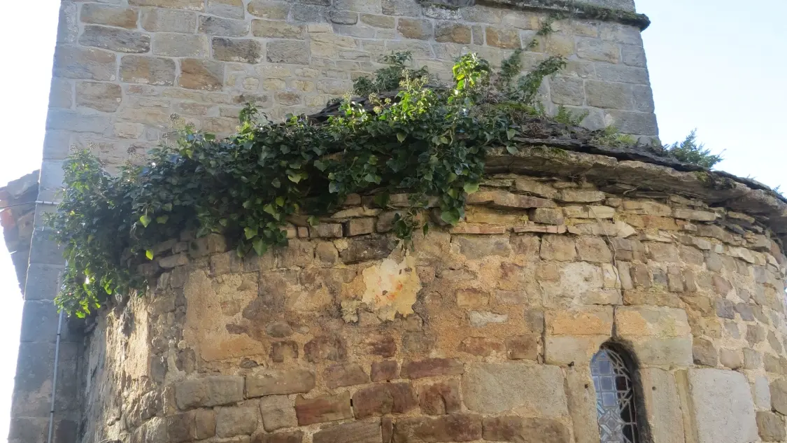 3 QUEYSSAC LES VIGNES - le vin paillé (1)