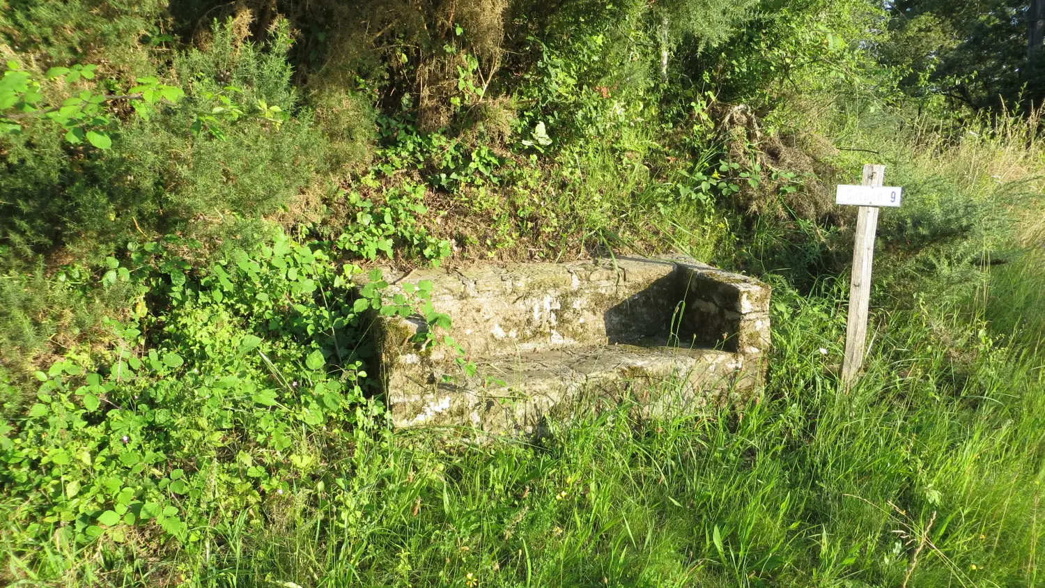 33 VEGENNES - Autour du Puy Turlaud (1)