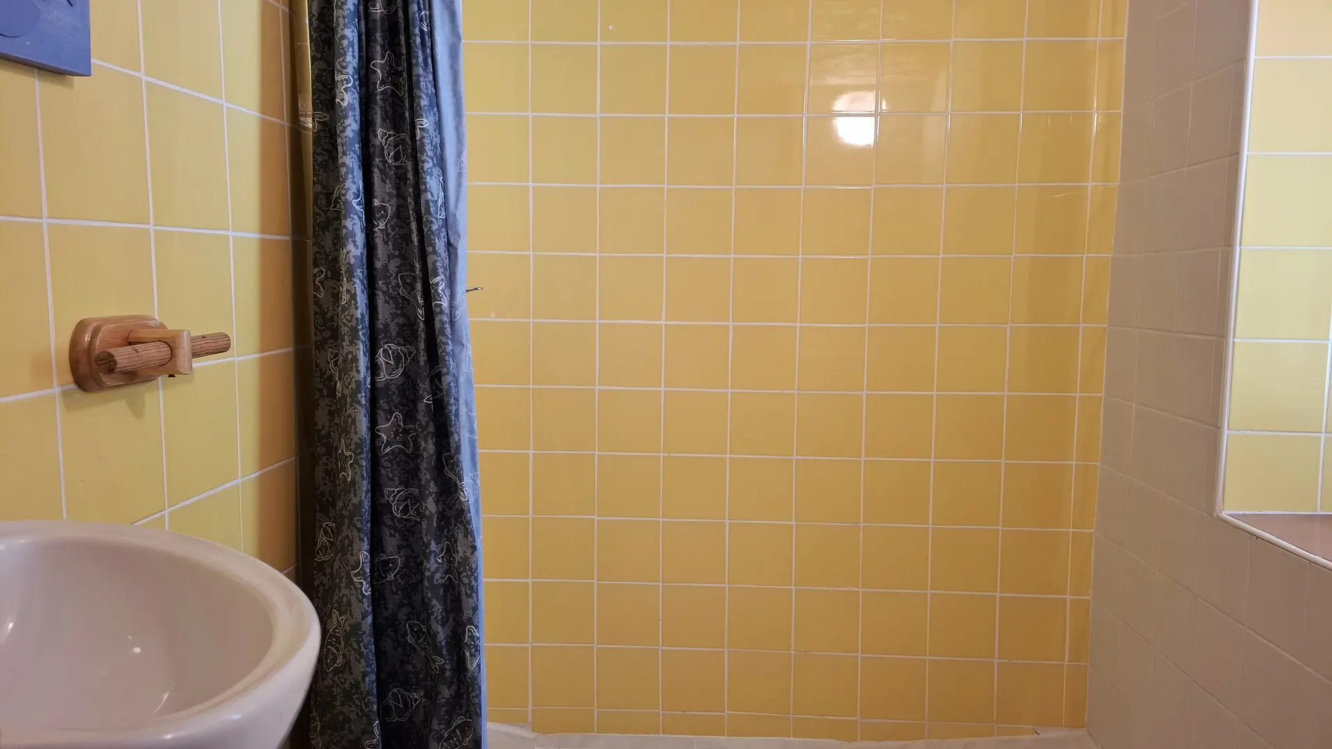 Salle de douche , ensuite deuxieme chambre