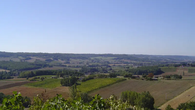 Saux - Vue sur le Vignoble de Cahors