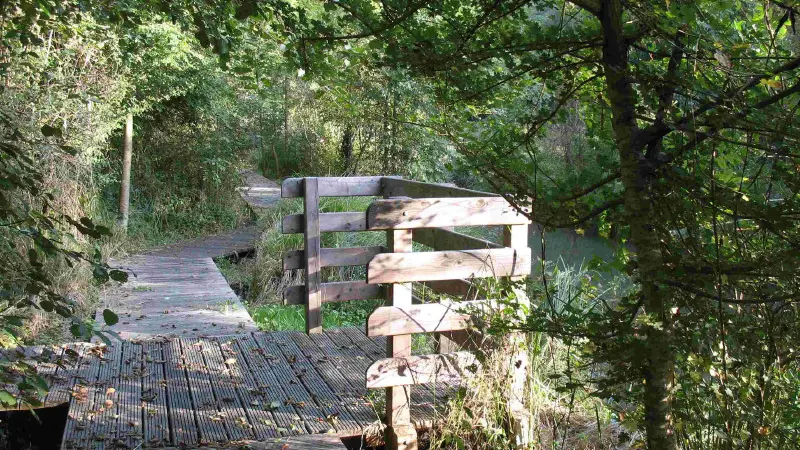 Sentier Sous les Bois