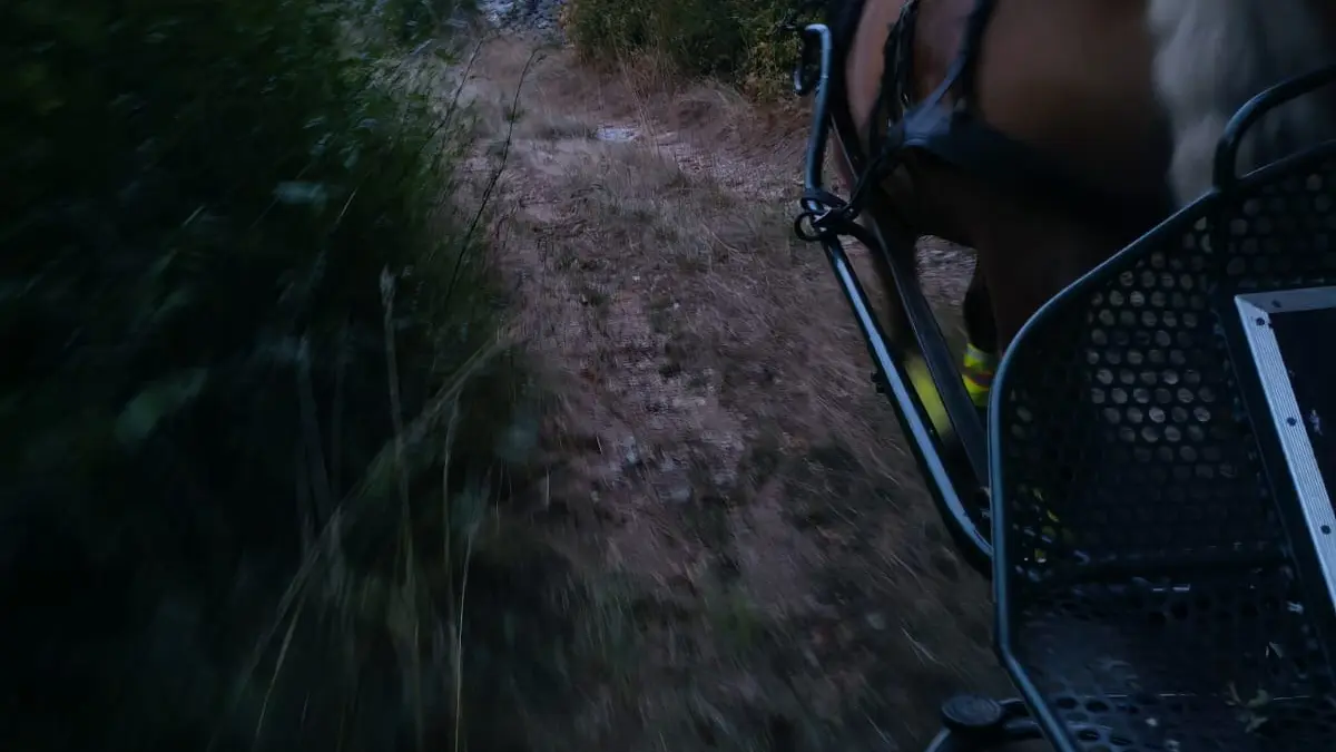 Balade Calèche au Crépuscule