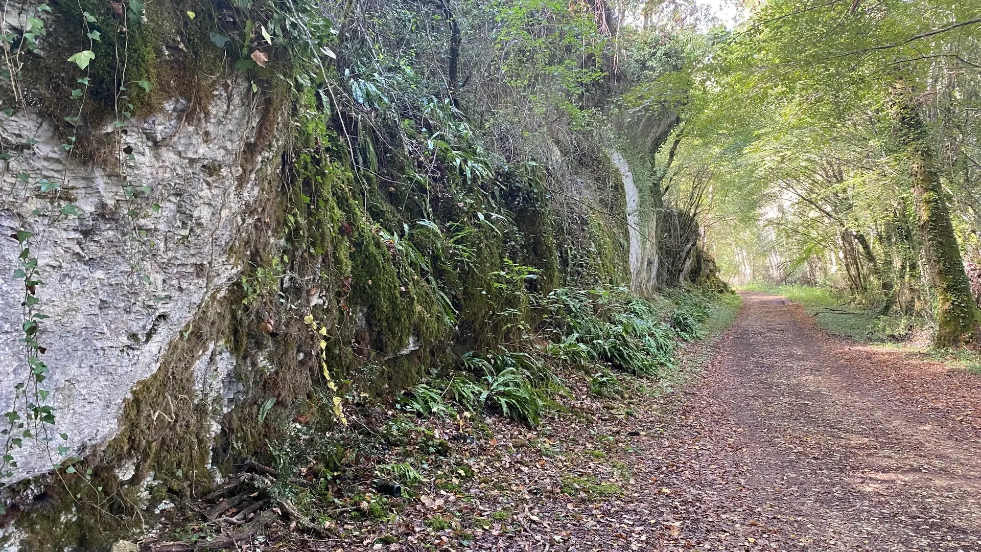 Chemin - La Thèze