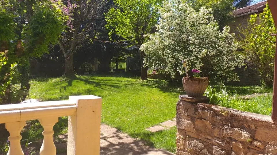 vue extérieure parc arboré