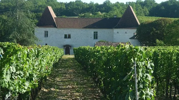 Château Tour de Miraval