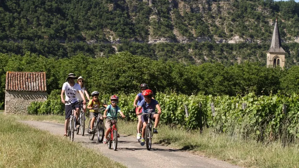 velo-dans-les-vignes-veloroute-p-foresti-mediart360-1024x683