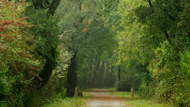 voie verte sarlat cazoules4