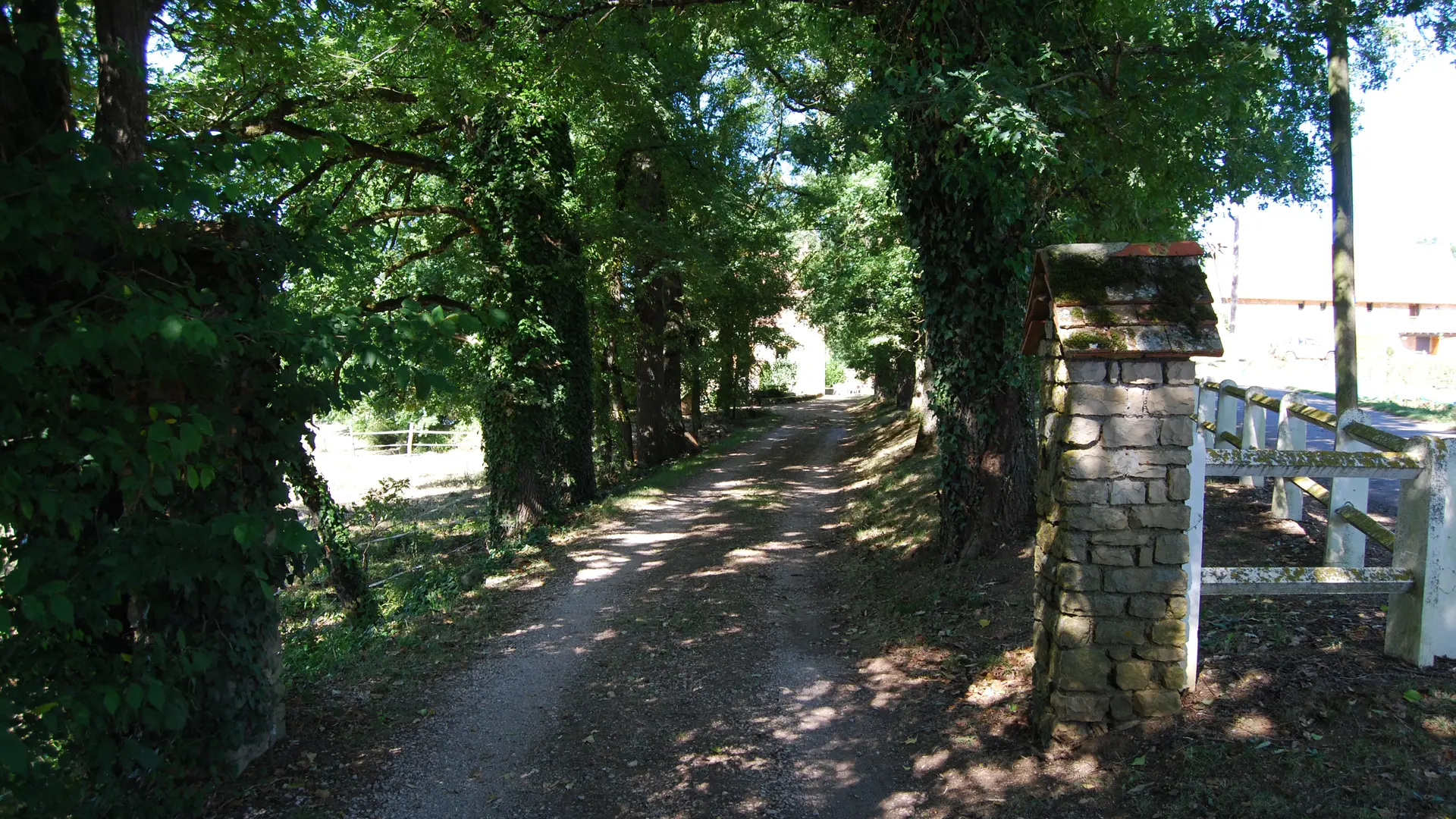 Allée menant à la Maison