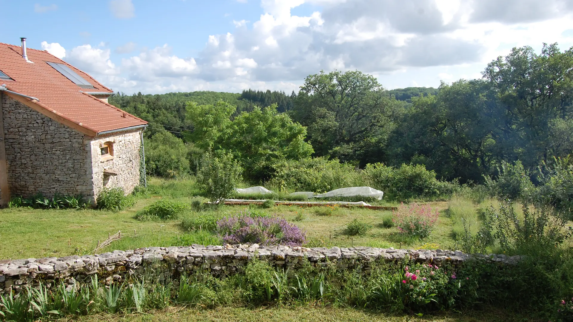 Vue depuis le jardin