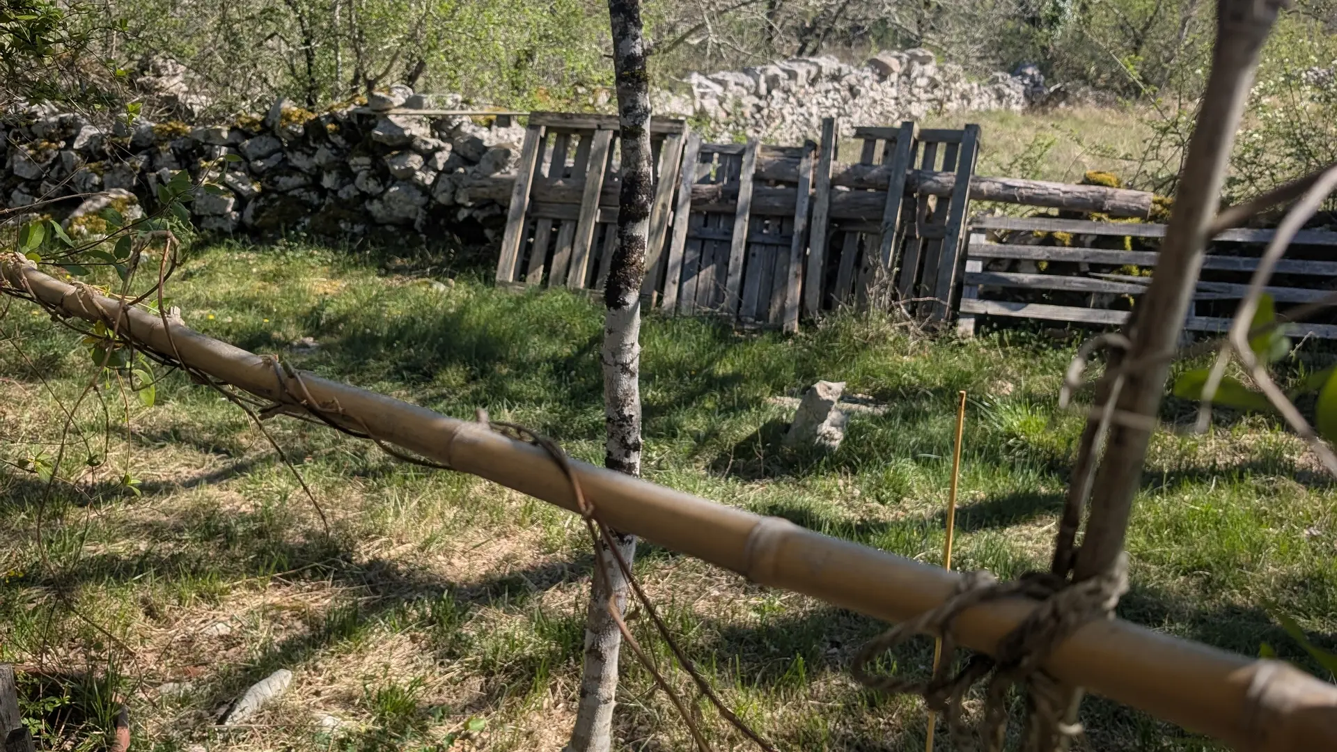 vue du chalet du Causse