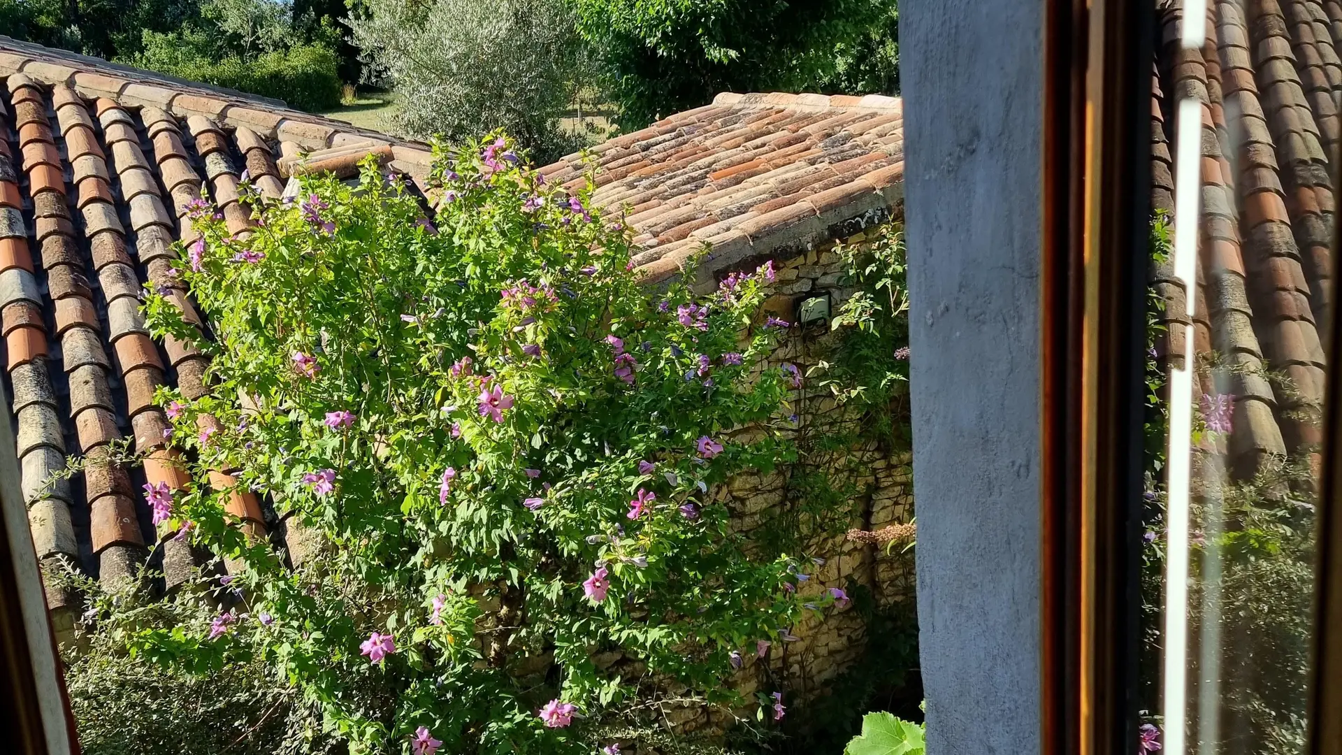 Vue extérieure depuis la chambre 1